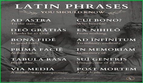 A Profile Of A Latin Beauty