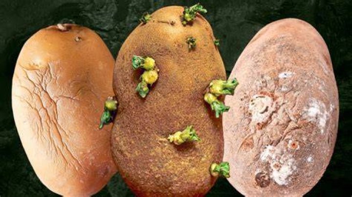 Are oxidized potatoes bad?