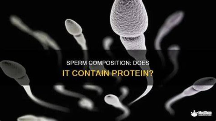 Does sperm have protein?