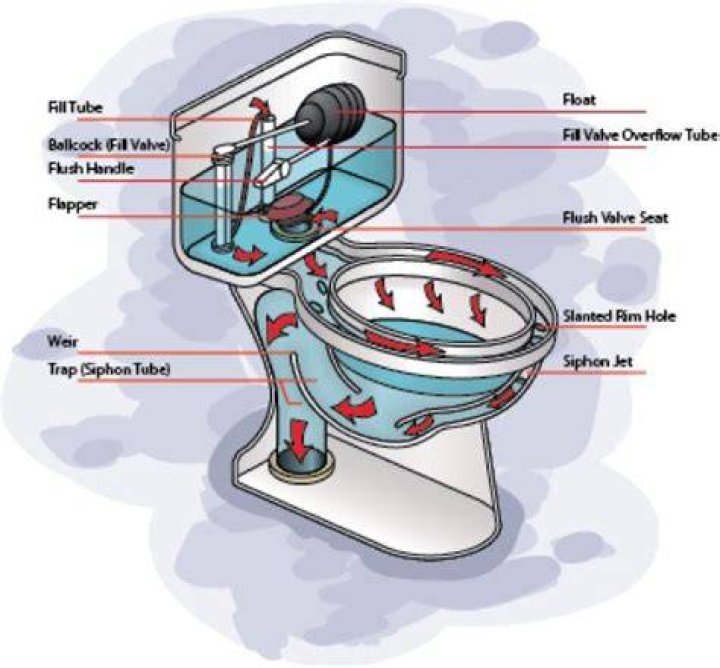 How does a siphonic toilet work?