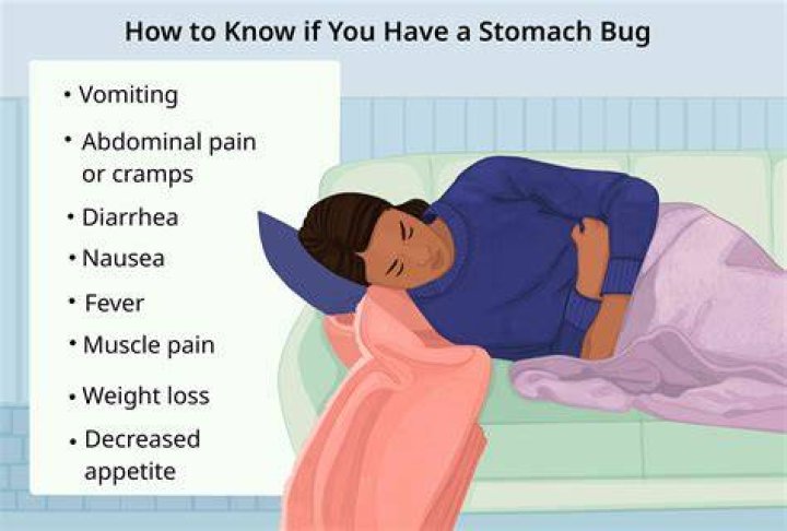 How long is s stomach bug contagious?