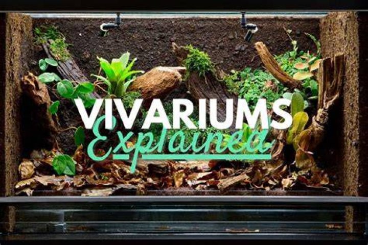 How much do vivariums cost?