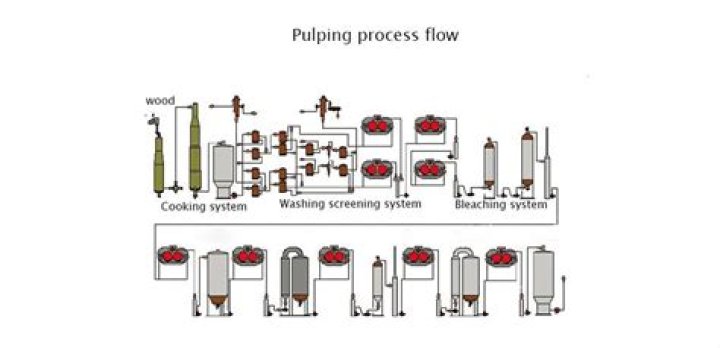 In the pulping process?