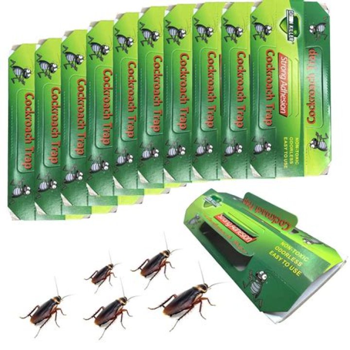 Is it cockroach killer?