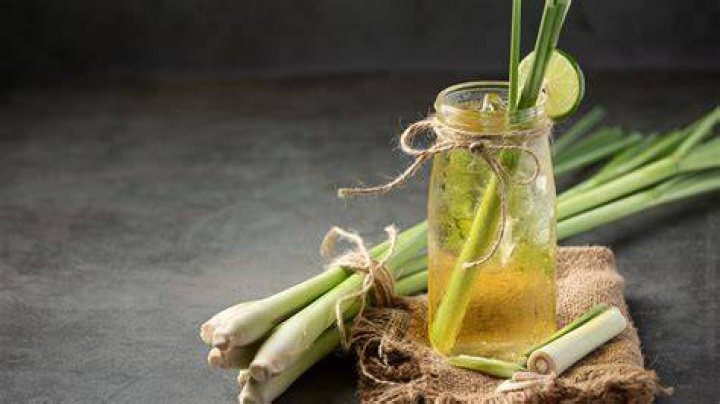 Should i refrigerate lemongrass?