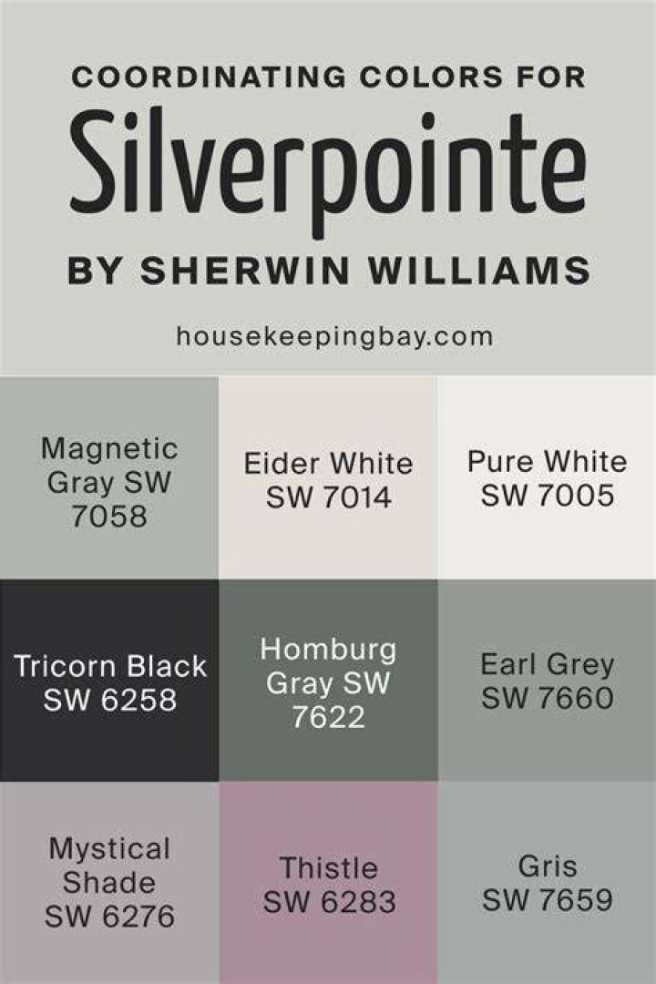 What color is silverpoint?