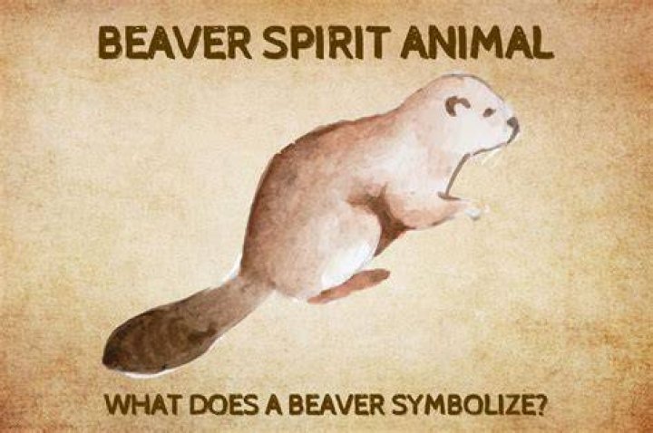 What does beaver represent?