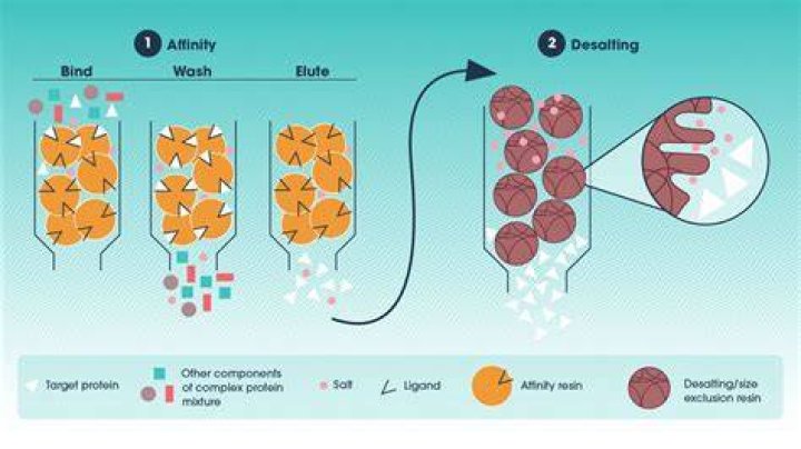 What is desalting in chromatography?