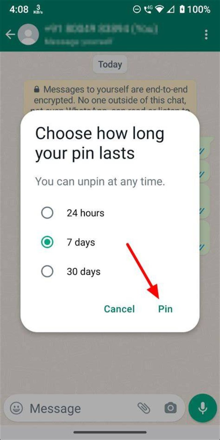 What is pinned message?
