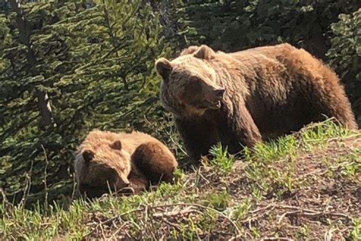 When brought to bear?