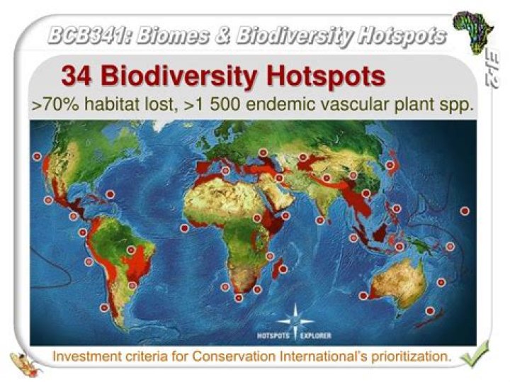 Which environmentalist gave biodiversity hotspots?