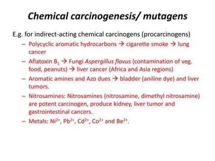 Which fungi produce carcinogens?