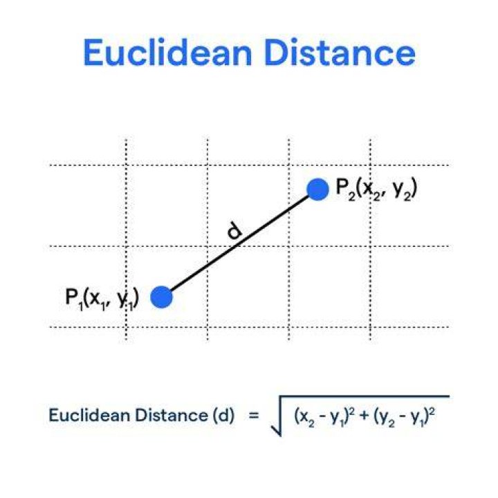 Why euclidean distance is used?