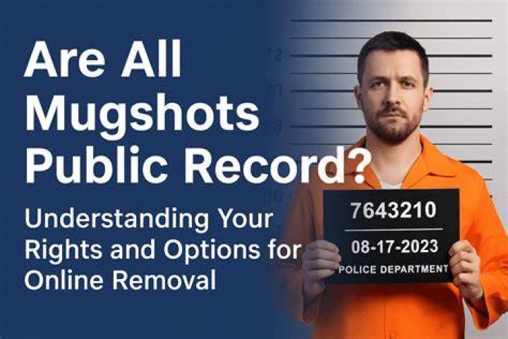 Why mugshots public record?