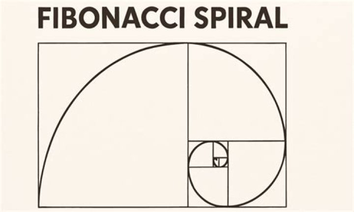 Why spiral is fibonacci?