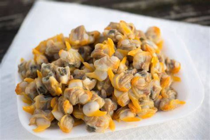 Will oscars eat cockles?