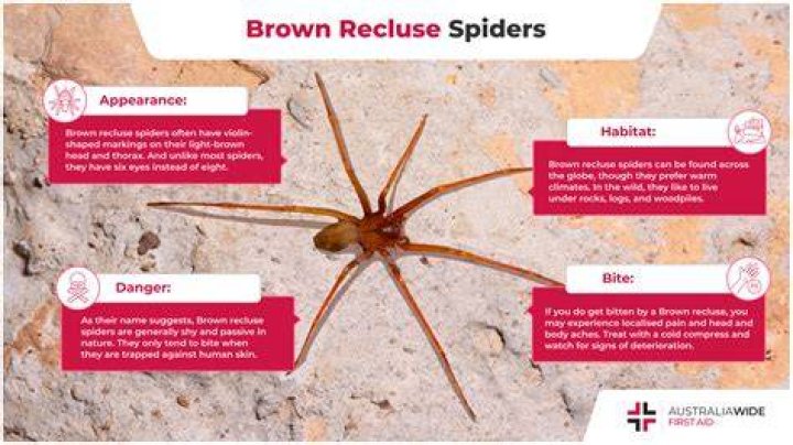 Will recluse be sunset?